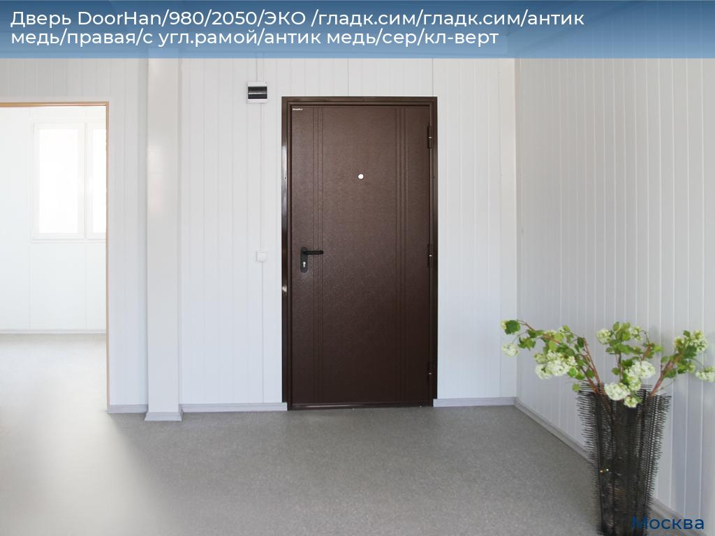 Дверь DoorHan/980/2050/ЭКО /гладк.сим/гладк.сим/антик медь/правая/с угл.рамой/антик медь/сер/кл-верт, 