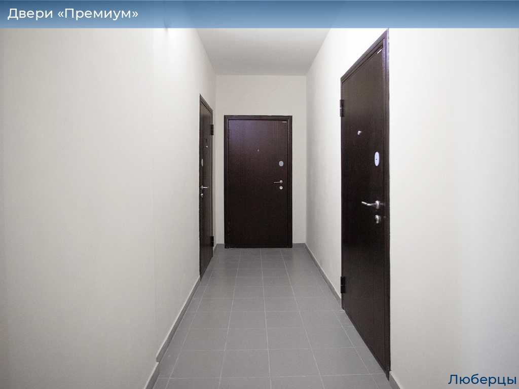 Двери «Премиум», 