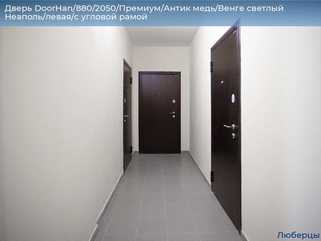 Дверь DoorHan/880/2050/Премиум/Антик медь/Венге светлый Неаполь/левая/с угловой рамой, lyubertsy.doorhan.ru