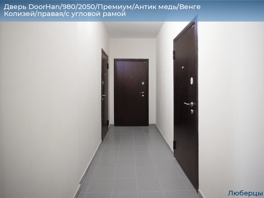 Дверь DoorHan/980/2050/Премиум/Антик медь/Венге Колизей/правая/с угловой рамой, lyubertsy.doorhan.ru