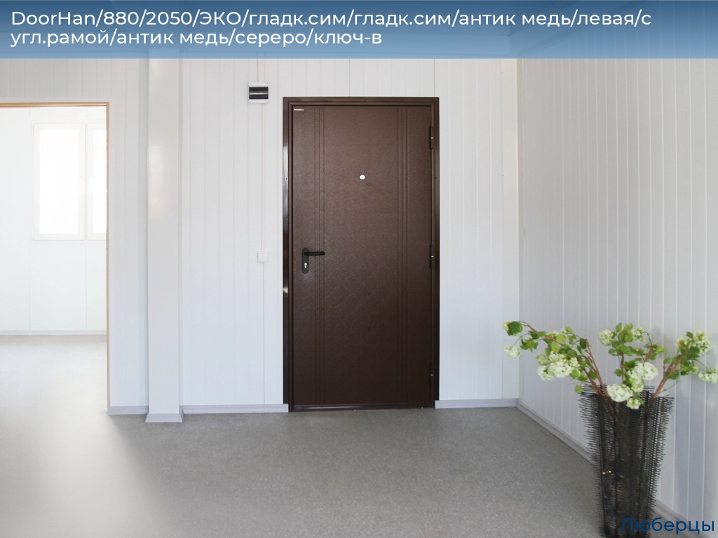 DoorHan/880/2050/ЭКО/гладк.сим/гладк.сим/антик медь/левая/с угл.рамой/антик медь/сереро/ключ-в, lyubertsy.doorhan.ru