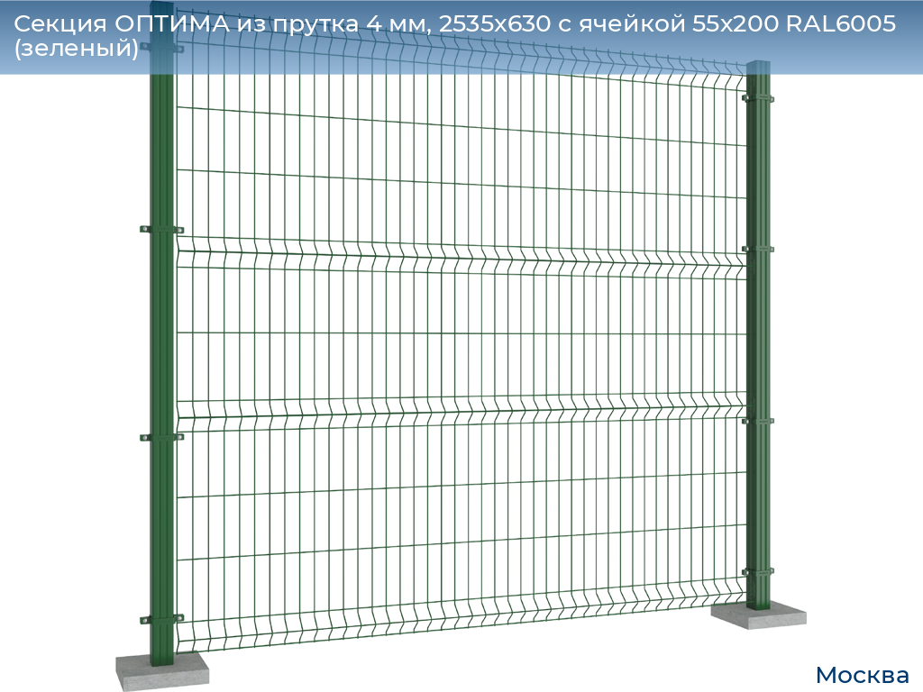 Секция ОПТИМА из прутка 4 мм, 2535x630 с ячейкой 55х200 RAL6005 (зеленый), 